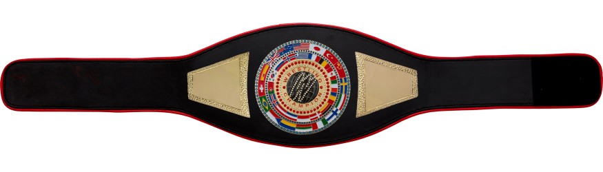 WRESTLING CHAMPIONSHIP BELT PROFLAG2/FLAG/G/WRESTGEM - VARIETY OF LEATHER COLOURS AVAILABLE WRESTLING CHAMPIONSHIP BELT PROFLAG2/FLAG/G/WRESTGEM - VARIETY OF LEATHER COLOURS AVAILABLE